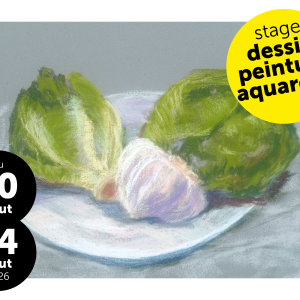 Stage Semaine Dessin/peinture, Vacances d'Été 3, 2025-2026